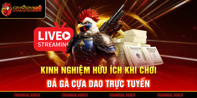 Kinh nghiệm đặt cược đá gà cựa dao