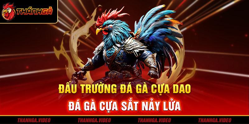 Trải nghiệm đấu trường đá gà đỉnh cao cùng nền tảng Thanhga