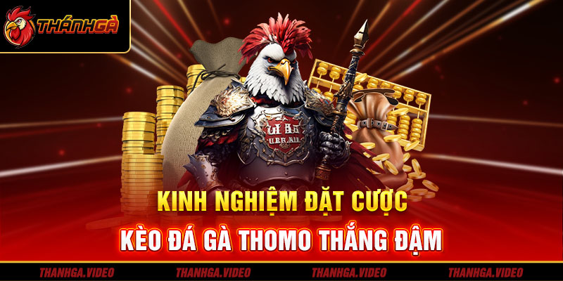 Kinh nghiệm cược đá gà Thomo hiệu quả