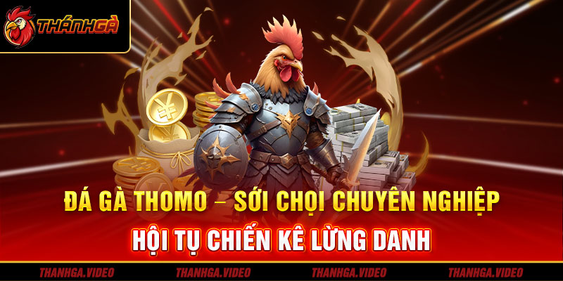 Khái niệm đá gà Thomo