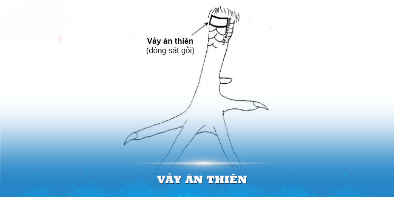 Vảy án thiên