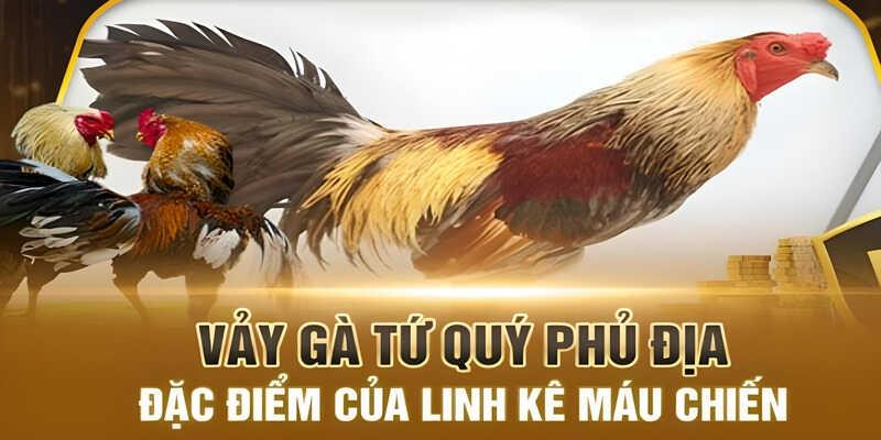 Khám phá lý thuyết vảy phủ địa ở gà là gì?